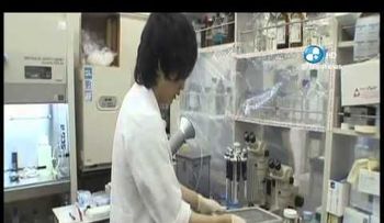 Japón inicia el primer ensayo de retina artificial con células madre.