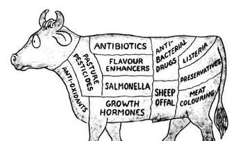 Motivos para no comer carne