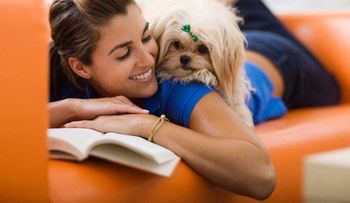 Convivir con perros protege frente a infecciones respiratorias y de oído 