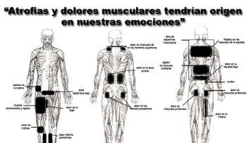Dime que te duele, y te diré que significa 