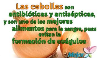 La cebolla y sus propiedades