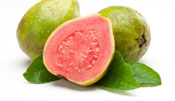 "La Guayaba: Un Tesoro de Salud Oculto en sus Hojas y Frutas"