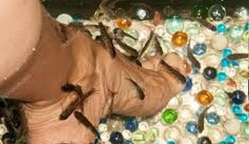 Una mujer pierde las uñas de todos sus pies tras someterse a una pedicura con peces