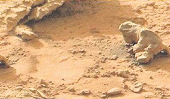 Descubren una 'iguana' en Marte 