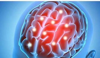 Discovery: Therapies Could Halt Brain Aging