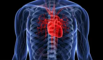 Identifican un mecanismo que regeneraría órganos en patologías como el cáncer y la aterosclerosis