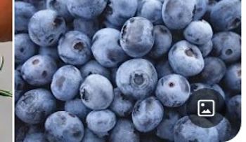 La Fruta Milagrosa que cuida tu vejiga
