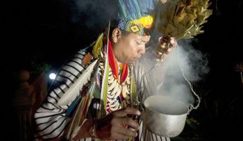 ¿Peligroso o benéfico? Consumo de ayahuasca se extiende en Europa