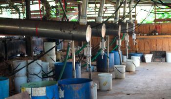 Hallan laboratorio subterráneo para fabricar drogas en San Cristóbal
