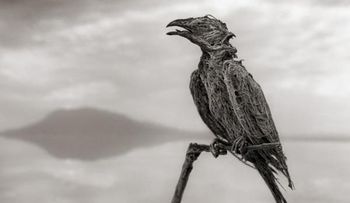 'Lago de la muerte' convierte a los animales en estatuas