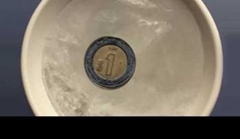 Coloca una moneda en el congelador por una razón sorprendente (VIDEO)