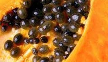 La semilla de lechosa, porque no me lo dijeron antes. Protege los riñones, elimina las amebas y expulsa lombrises