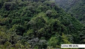 PRSC reitera â??Loma Miranda debe ser un Parque Nacionalâ?
