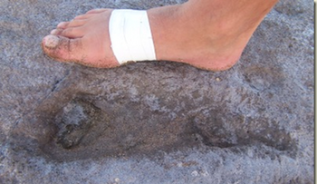 Hallan huellas humanas de hace 800.000 años