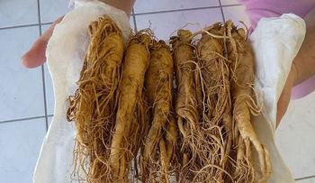 Conozca 16 remedios y recomendaciones para la impotencia sexual