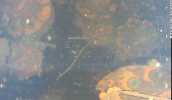 Lo que revelan las imágenes de un robot en el reactor de Fukushima