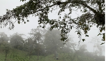 Frajares, un referente del café de especialidad en el Chocó Andino de Ecuador