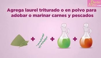 3 formas de usar el laurel para desintoxicar el organismo (Video)