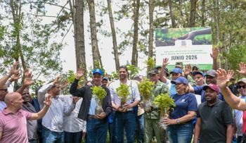 Senado realiza jornada de reforestación en río Nizao