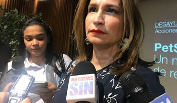 Hay que reducir las pérdidas en el sector eléctrico, de nada sirve darle más ingresos; Circes Almánzar