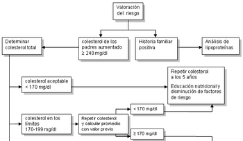 La ingesta de huevos no estaría relacionada con altos niveles de colesterol en adolescentes