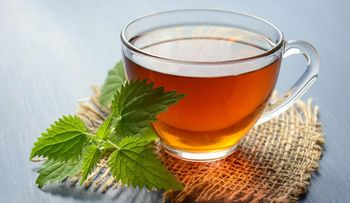 La asombrosa hierba de ortiga: un elixir desconocido para la salud y la juventud eterna