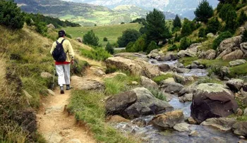  4 suplementos que benefician a casi todo el mundo 