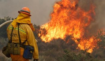 Se extiende incendio forestal en California