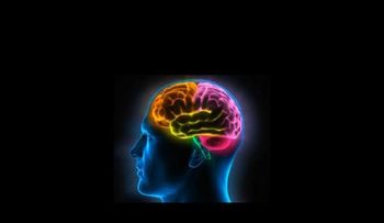 ¿Qué le ocurre al cerebro 30 minutos antes de la muerte?  