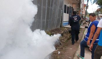El virus zika ya está en prácticamente toda América Latina y el Caribe