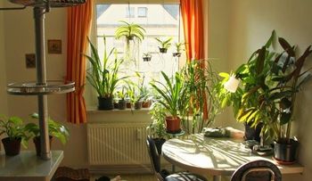 10 soluciones para darle vida al hogar 