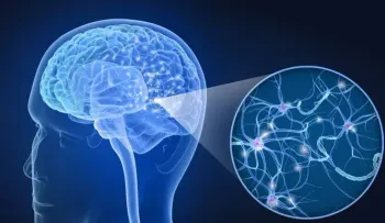 Las neuronas en la corteza olfativa pueden asociar el olor con el espacio