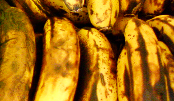Plátanos bien maduros son capaces de combatir el cáncer