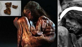 La ciencia descubre un nuevo linaje humano en el ADN de un niño inca momificado