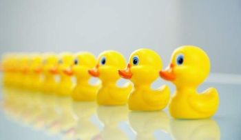 Los juguetes de goma de pato usado en el baño son refugios de gérmenes y un peligro para la salud 