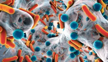 Entérate cómo una mujer superó una infección bacteriana multirresistente