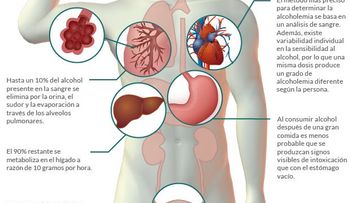 Puedes sufrir de 60 clases de enfermedades si consume alcohol: También de siete tipos de cáncer