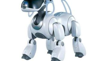  Sony volverá a lanzar un nuevo robot mascota 12 años después 