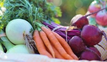 La dieta lipofídica con la que puedes perder 20 kilos