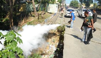 Los países con dengue son más vulnerables al chikunguya