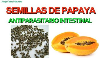 Tratamiento de cirrosis con plantas medicinales