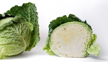 Un secreto revelado: Adiós al cáncer, estreñimiento y cientos de enfermedades con el repollo 