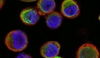 La paternidad podría animar pacientes de cáncer a buscar más tratamiento
