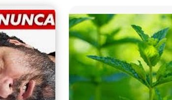 La planta que mejora tu sueño y la tienes en tu propia casa