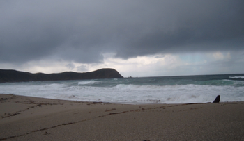Se forma Dalila, la cuarta tormenta tropical de la temporada