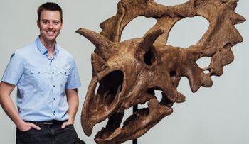 Descubren por accidente un nuevo y puntiagudo dinosaurio