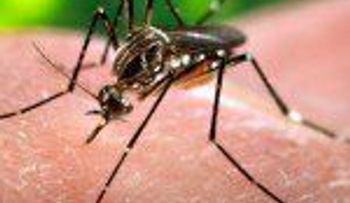 Taiwán supera las 20.500 infecciones por dengue y confirma 56 muertes