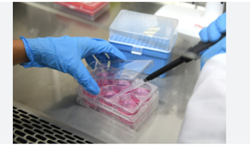 Detectan bacteria "superresistente" preocupante