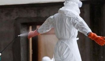 ¿Qué tan rápido se contagia el ébola y cuán mortífero es?