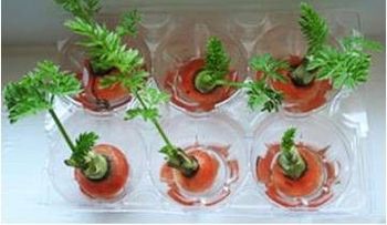 Tomar una taza con hojas de cilantro te quita cualquier malestar estomacal
